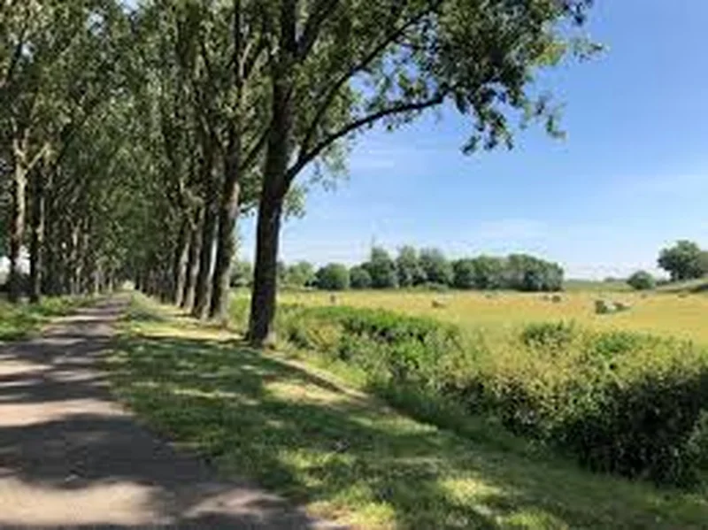 Wandel het Waterliniepad