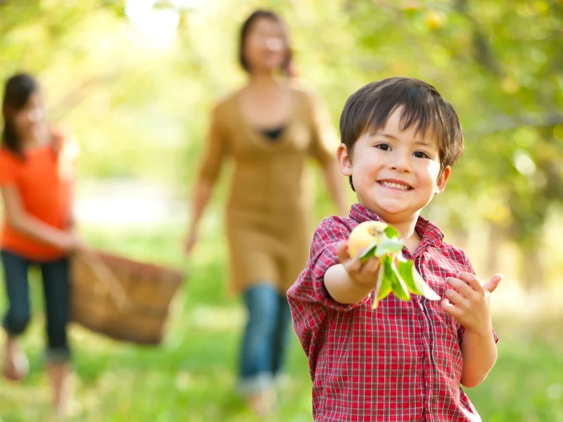 Drievoudig eigenaarschap op Landgoed Wickevoort